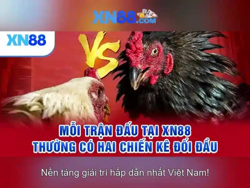 Hệ thống thanh toán và bảo mật