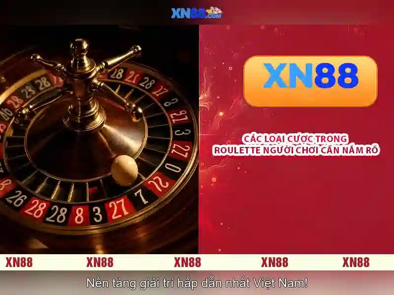 Thông tin chung về xn88