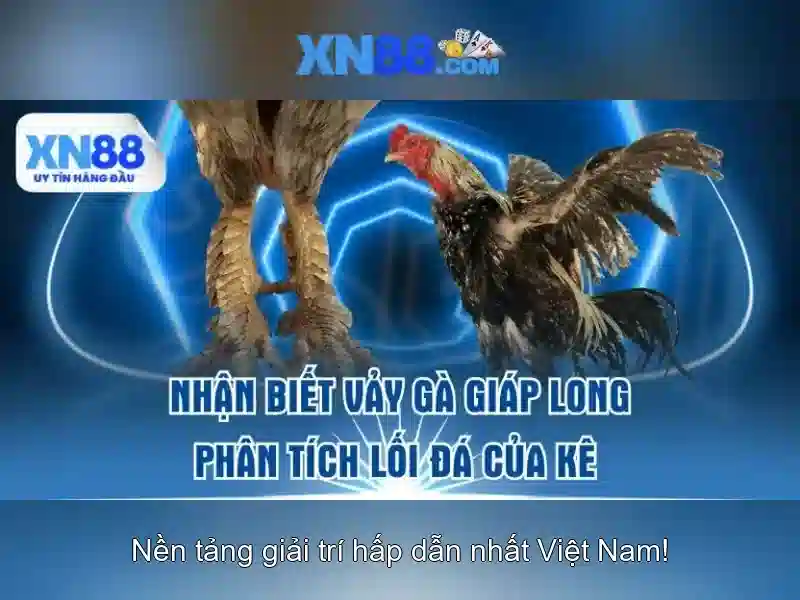 Game bắn cá C54 được nhiều người chơi yêu thích