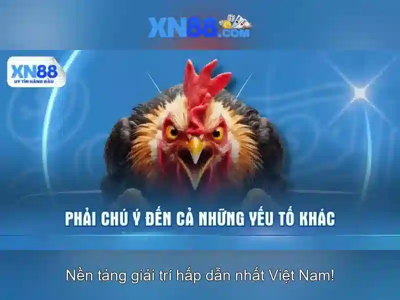 Bắt cầu tài xỉu nhanh chóng, chính xác