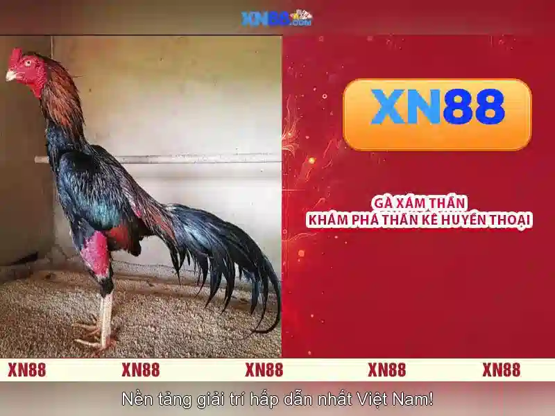 'An toàn và bảo mật'