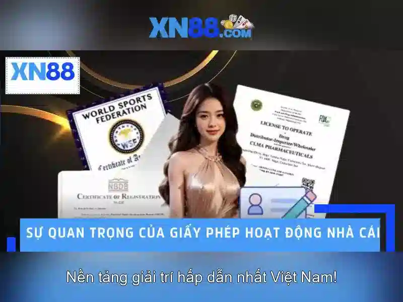 Bắt cầu tài xỉu nhanh chóng, chính xác