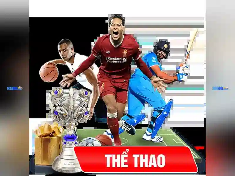 Khuyến mãi và chương trình thưởng