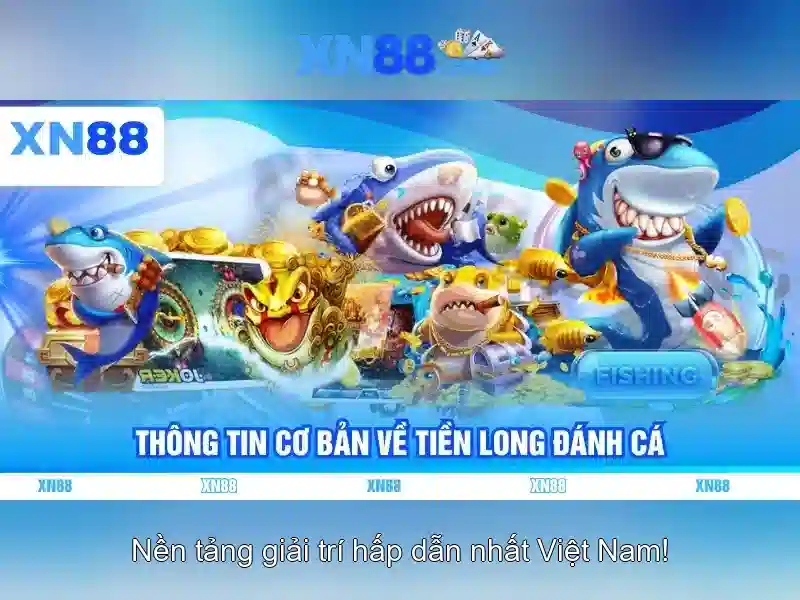 Cách chơi và an toàn khi cược
