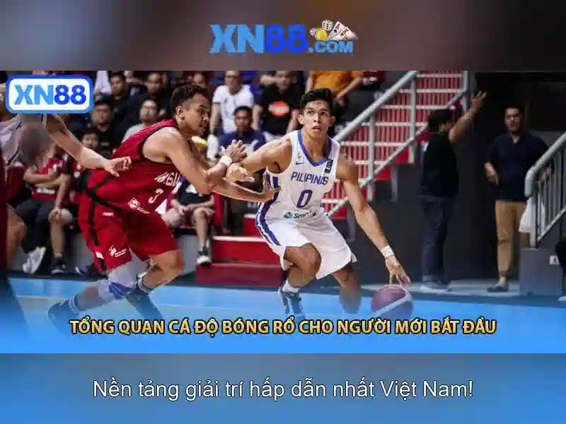 Giới thiệu về xn88