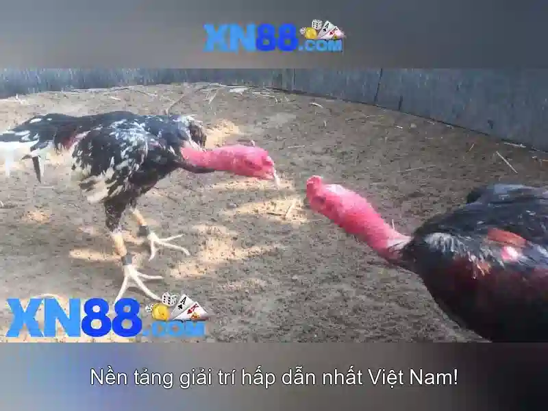 Công nghệ và bảo mật