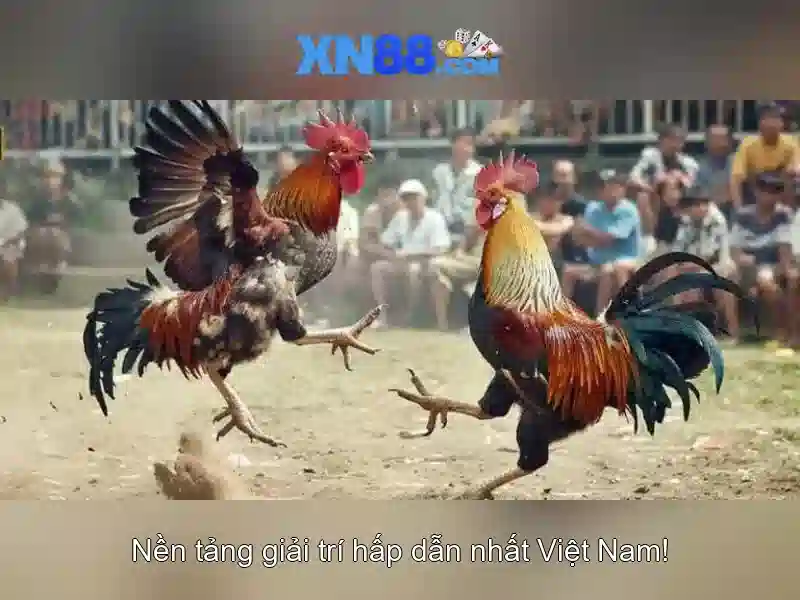 An toàn và bảo mật cho người chơi