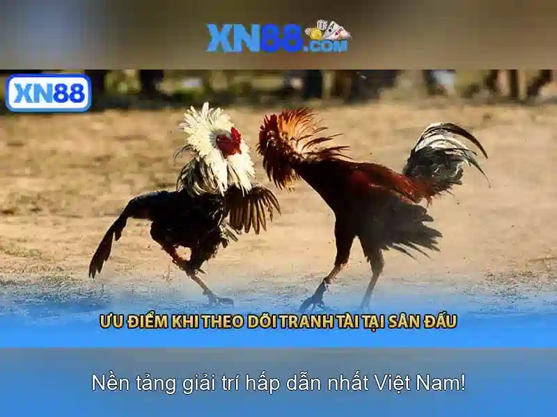 Giới thiệu về xn88