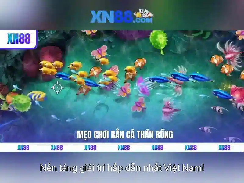 Công cụ và dịch vụ nổi bật