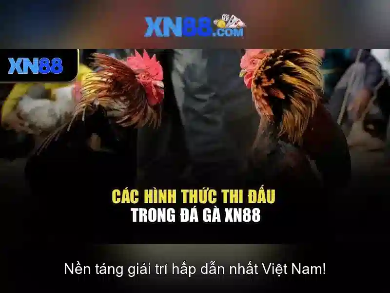 Độ tin cậy và an toàn trên xn88